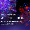 Запись вебинара Яноша "Настроенность"