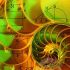 Сакральная геометрия - Фракталы Фибоначчи